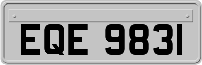 EQE9831