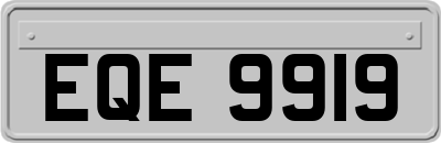 EQE9919