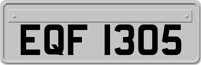 EQF1305