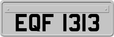 EQF1313