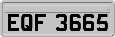 EQF3665
