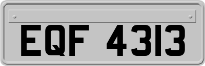 EQF4313