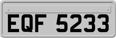 EQF5233
