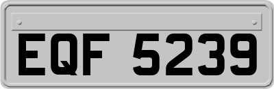 EQF5239