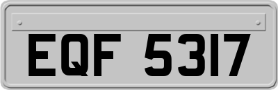 EQF5317