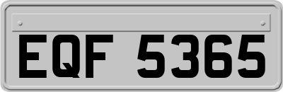EQF5365