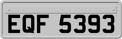 EQF5393