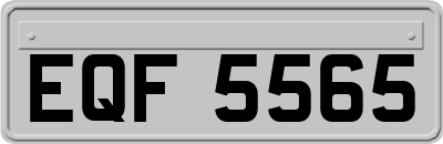 EQF5565