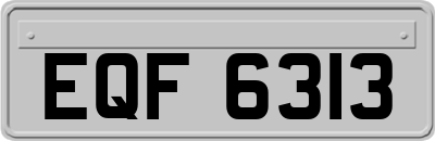 EQF6313