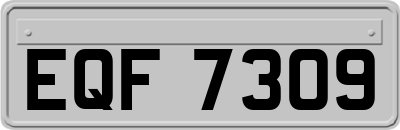 EQF7309