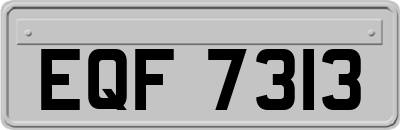 EQF7313