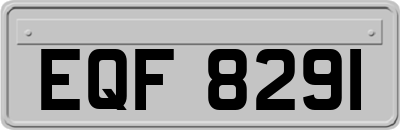 EQF8291