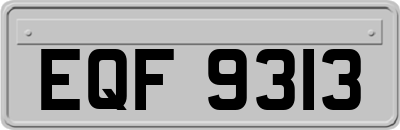 EQF9313