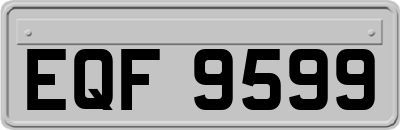 EQF9599