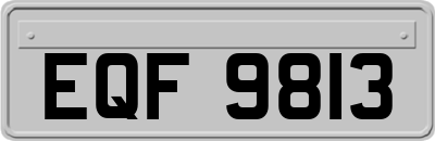 EQF9813
