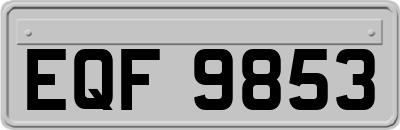 EQF9853