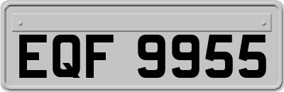 EQF9955