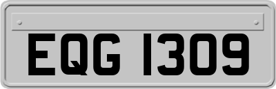 EQG1309