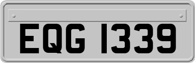 EQG1339