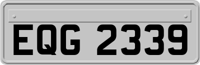 EQG2339