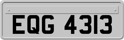 EQG4313
