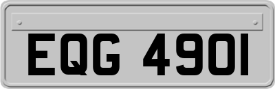 EQG4901