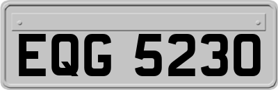 EQG5230