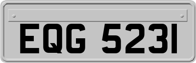 EQG5231