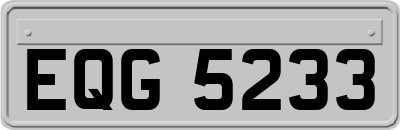 EQG5233