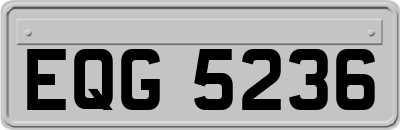 EQG5236