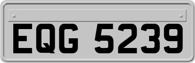 EQG5239