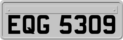 EQG5309