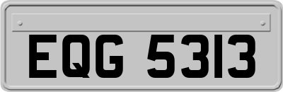 EQG5313