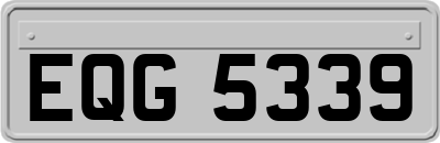 EQG5339