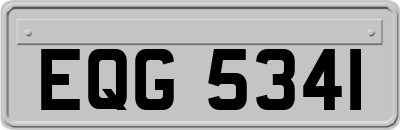 EQG5341