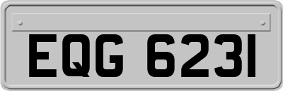 EQG6231