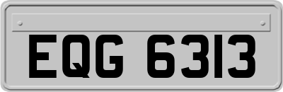 EQG6313