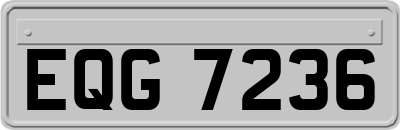 EQG7236