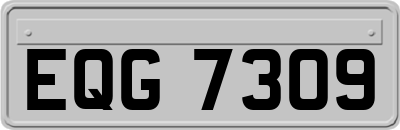 EQG7309