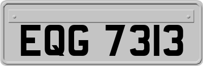 EQG7313