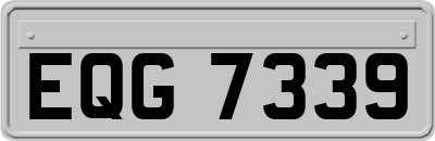 EQG7339