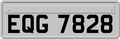 EQG7828
