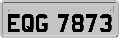 EQG7873