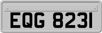 EQG8231