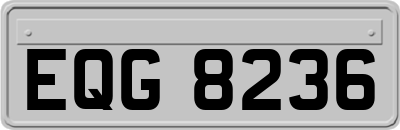 EQG8236