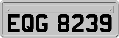 EQG8239