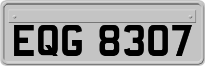 EQG8307