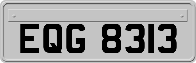 EQG8313