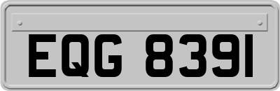 EQG8391