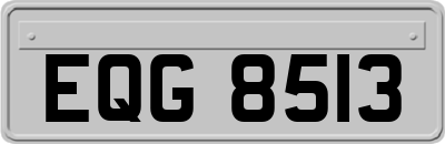 EQG8513